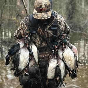 Meet your Posher, Clint